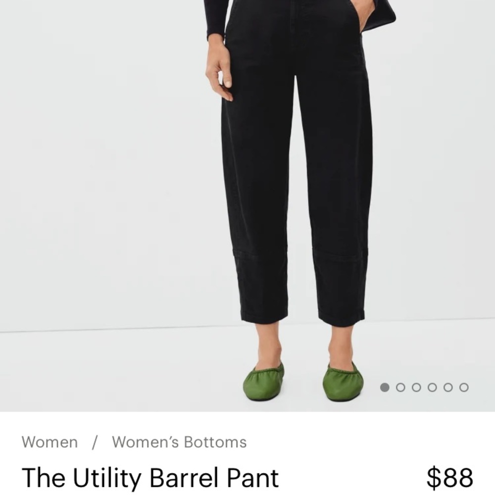 Everlane Utility Barrel Pant